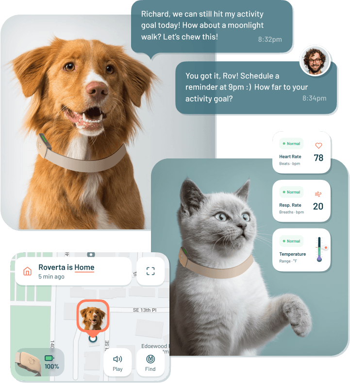 Tailored Al-Driven Petcare